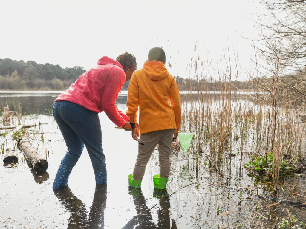 10 Signs Your Atlanta Retention Pond Needs Cleaning Now