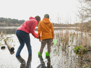 10 Signs Your Atlanta Retention Pond Needs Cleaning Now