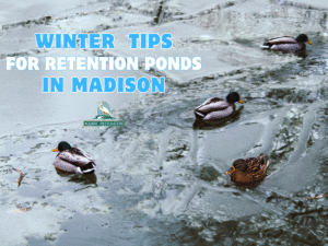 Winter Care Tips for Retention Ponds in Madison