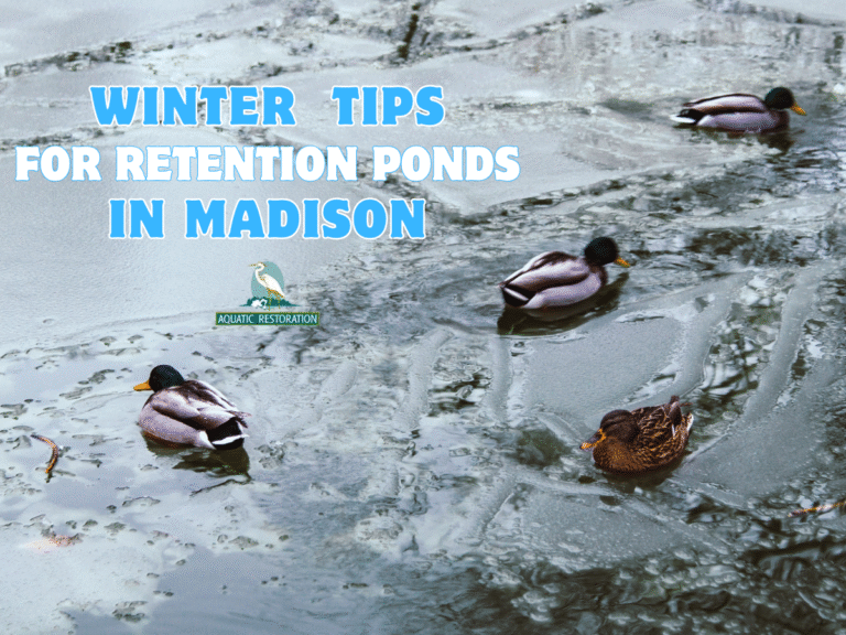 Winter Care Tips for Retention Ponds in Madison
