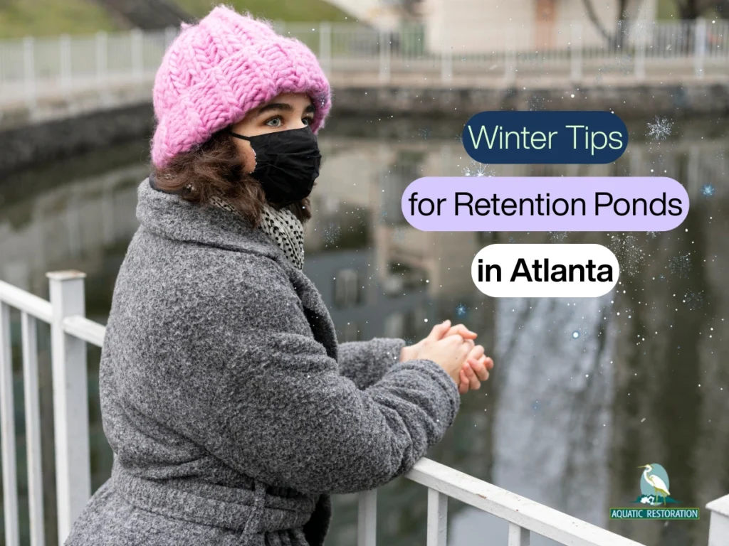 10 Winter Tips (From Experts) for Retention Ponds in Atlanta