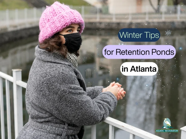 10 Winter Tips (From Experts) for Retention Ponds in Atlanta