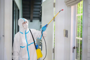 man doing pest control spray in home