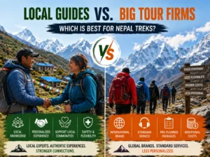 Local Guides vs Big Tour Firms - Which Is Best for Nepal Treks