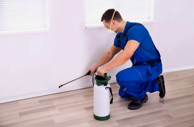 Residential Termite Removal​ Services Raleigh NC, Termite Exterminators Services