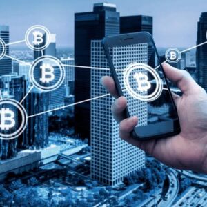 Custom Blockchain Development