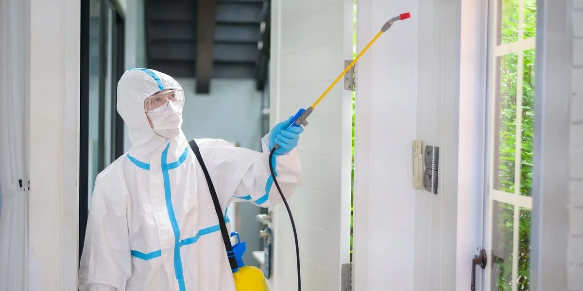 man doing pest control spray in home