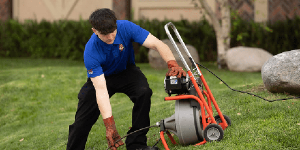 compressed_imgi_3_1764198231pic-43_optimized_500